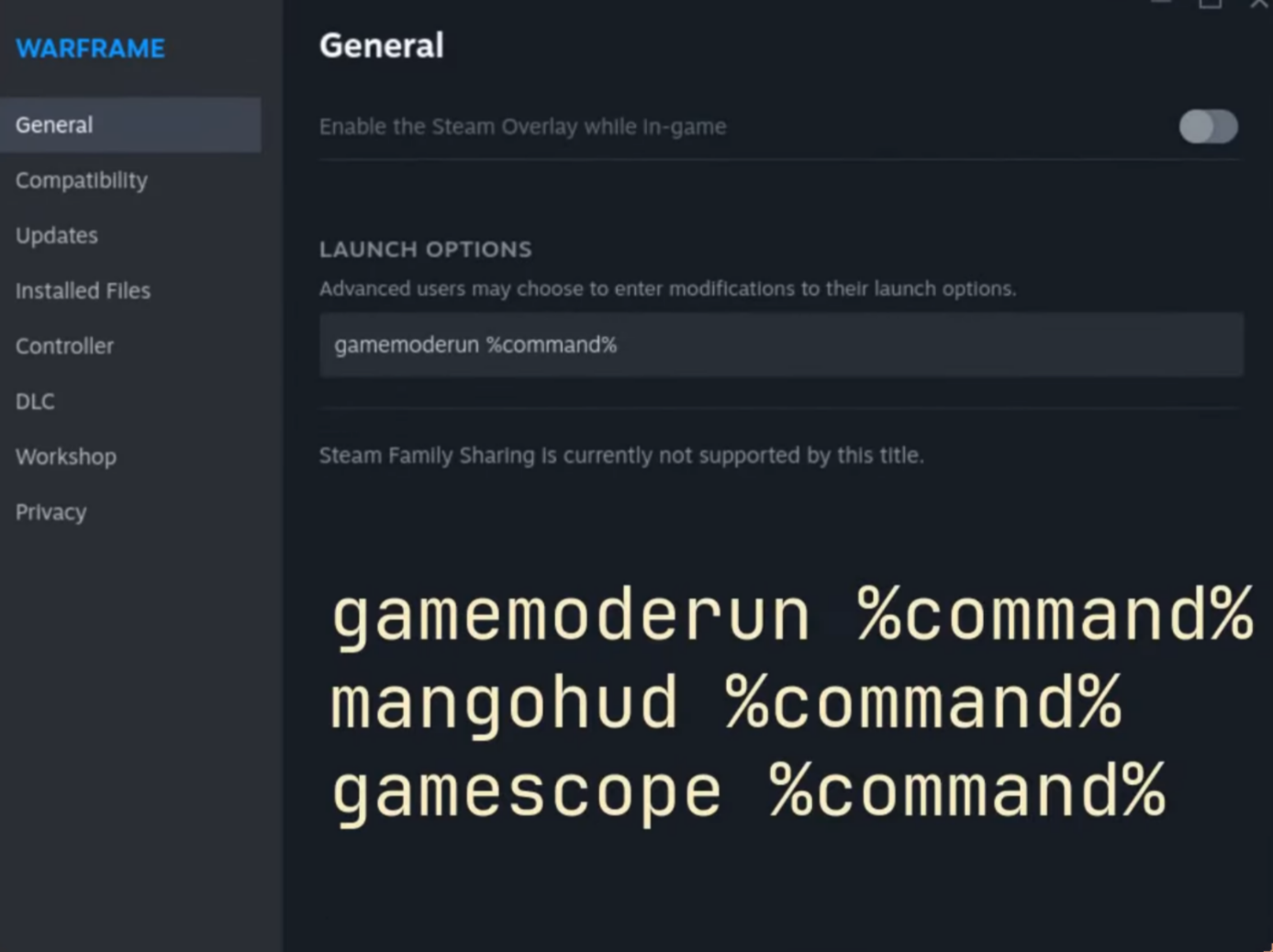 Usage with steam's General options